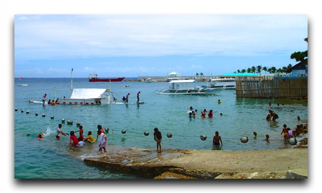 P4200086 copy copy copy copy copy copy