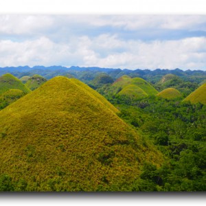 チョコレートヒルズと世界最小のサルに会いにボホール島へ行って来た。