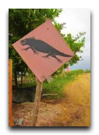 スクリーンショット 2014-05-31 21.45.21