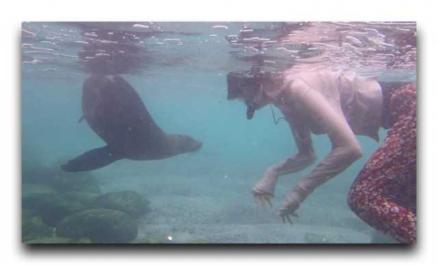 スクリーンショット 2014-06-07 16.35.11