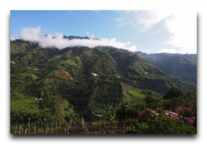 Ecuador/エクアドル