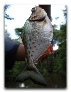 Colombia/コロンビア