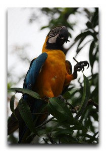 Recommended posts / おすすめ記事