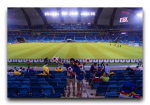 FIFAワールドカップ2014