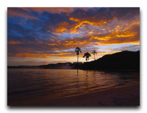 Venezuela / ベネズエラ