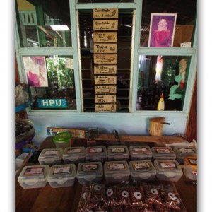 コスタリカの山奥で住み込みボランティア生活開始