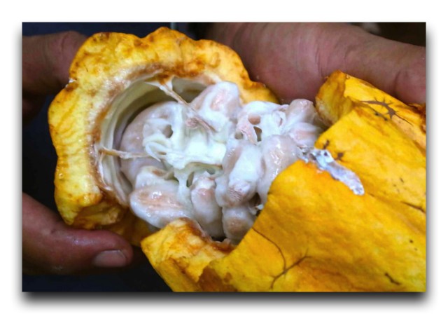 c0217364_16221483-1 copy