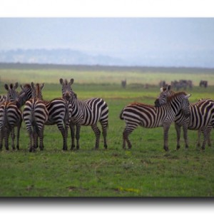 キリマンジャロ登山＆タンザニアサファリ情報【2014年11月時点】