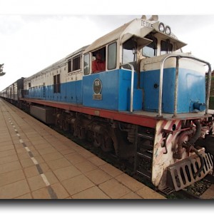 天国と地獄。サファリができる夢の列車の乗りこなし方。