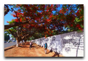 Zambia / ザンビア