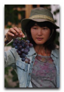 Argentina / アルゼンチン