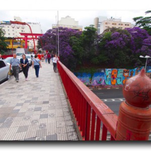 知ってるのと行くのとじゃ大違いだった！地球の裏側にある日本のこと。