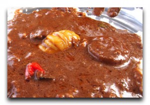 Senegal / セネガル