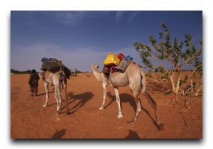 Recommended posts / おすすめ記事