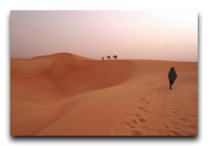 Mauritania / モーリタニア