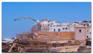 Morocco / モロッコ