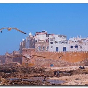モロッコで一番のお気に入り！カモメの街にやってきた！