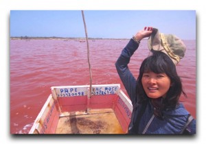 Ranking / 世界一周なんでもランキング