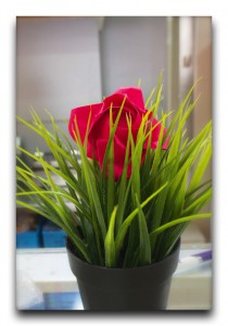 Bulgaria / ブルガリア