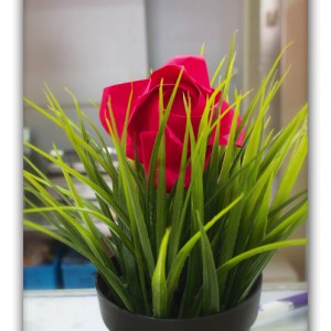 絶叫ドライブ！ × ブルガリアのローカル銭湯に突撃！