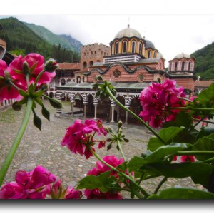 リラの僧院へまさかのカムバック！ × ハリウッド映画撮影の行方…。