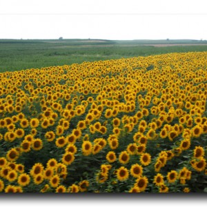 ふたりがずっと大好きだった、憧れのあの人に会いに。