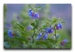 After the world trip / 世界ぽろり旅のその後