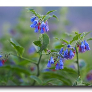 地球のために始めたこと。