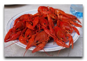 世界の国で血圧測定サービス実施中！