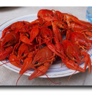 血圧測定でセクハラ被害？！ × アルメニア名物ザリガニのお味は…