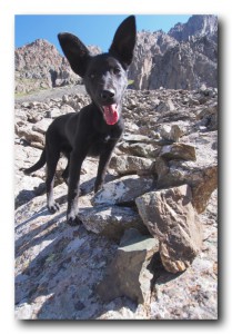 Kyrgyzstan / キルギス