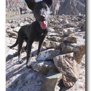 あら子の大冒険4〜罪悪感との戦い。眠れない夜。〜