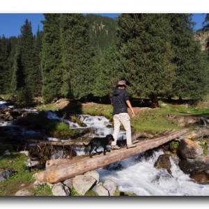 アラコの大冒険5〜そしてあら子の運命は…。〜