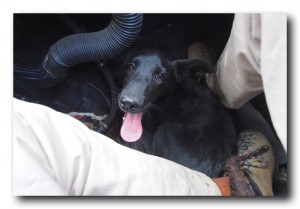 Kyrgyzstan / キルギス