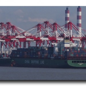 世界一の上海港のデカさに度肝を抜かれた日。