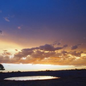 534日の世界旅行の果てに手に入れた罪悪感。