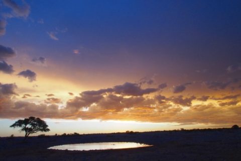 534日の世界旅行の果てに手に入れた罪悪感。