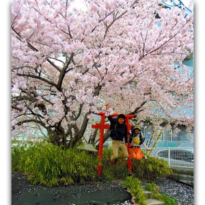 世界ぽろり旅：完