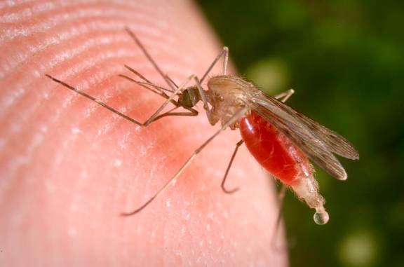 d28b8e3d-dd1e-4726-8b4e-d073e7893331